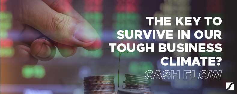 Why Is Cash Flow Important To Survive In Our Tough Business Climate?